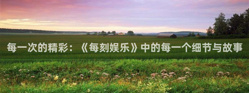 星亿娱乐网站平台：每一次的精彩：《每刻娱乐》中的每一个细节与故事
