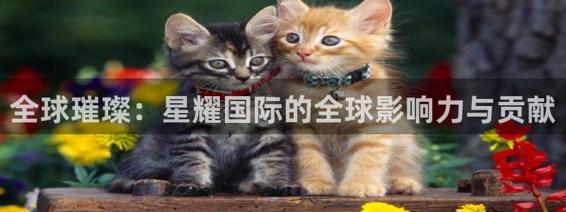 星亿娱乐体育论坛：全球璀璨：星耀国际的全球影响力与贡献