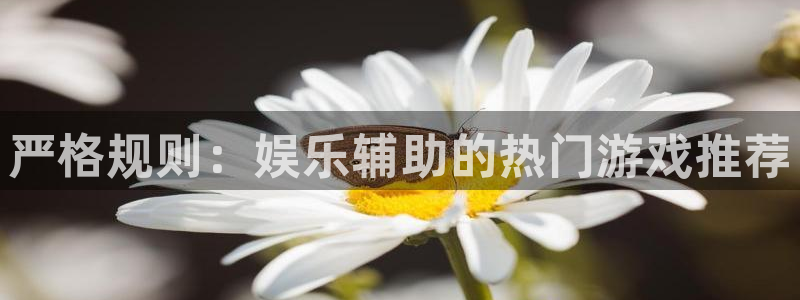 星亿娱乐体育app下载：严格规则：娱乐辅助的热门游戏推荐