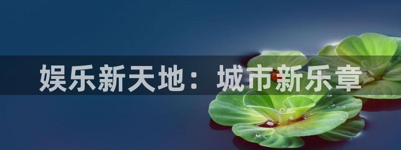 星亿娱乐凯捷平台：娱乐新天地：城市新乐章