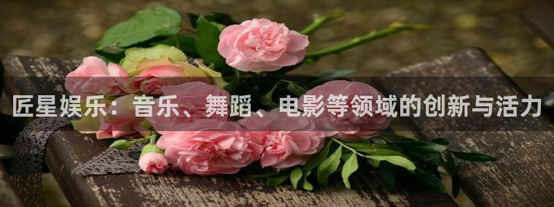 苹果版星亿娱乐下载安装：匠星娱乐：音乐、舞蹈、电影等领域的创新与活力