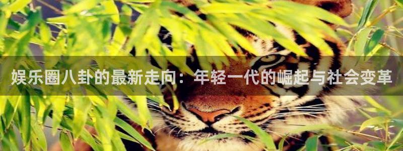 星亿娱乐加拿大下载：娱乐圈八卦的最新走向：年轻一代的崛起与社会变革