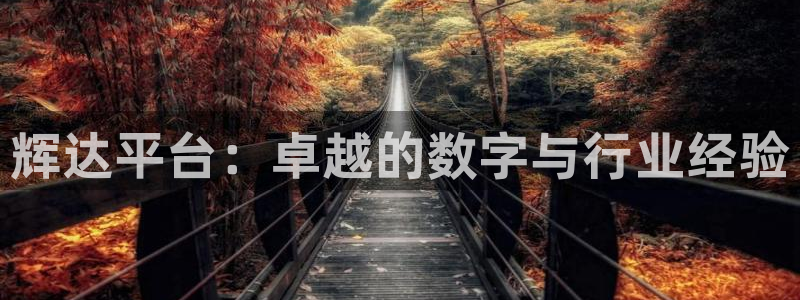 星亿娱乐是大平台吗：辉达平台：卓越的数字与行业经验