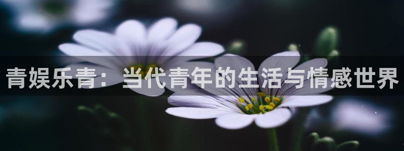 星亿娱乐平台总代理：青娱乐青：当代青年的生活与情感世界
