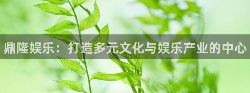 星亿娱乐哪个游戏好爆：鼎隆娱乐：打造多元文化与娱乐产业的中心