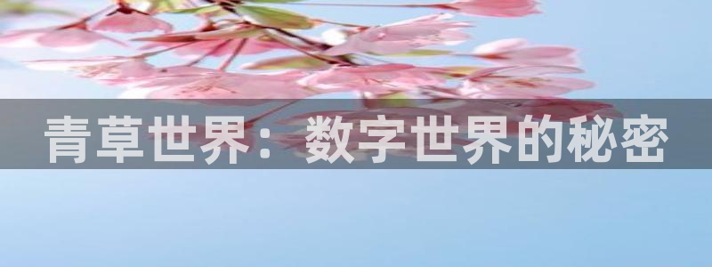 福建星亿娱乐机电股份公司：青草世界：数字世界的秘密