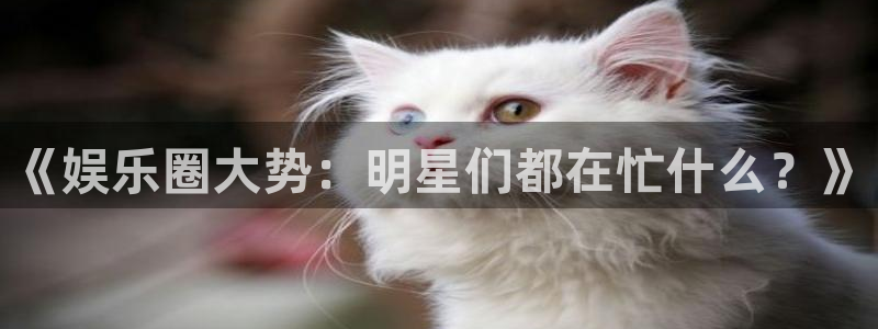 星亿娱乐体育2官网入口：《娱乐圈大势：明星们都在忙什么？》
