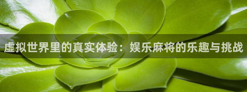星亿娱乐app下载：虚拟世界里的真实体验：娱乐麻将的乐趣与挑战