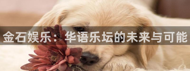 星亿娱乐注册：金石娱乐：华语乐坛的未来与可能