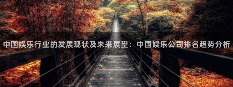 星亿娱乐下载：中国娱乐行业的发展现状及未来展望：中国娱乐公司排名趋势分析