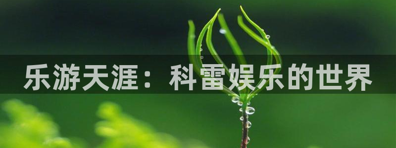 星亿娱乐注册：乐游天涯：科雷娱乐的世界