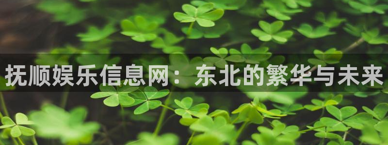 星亿娱乐凯捷注册：抚顺娱乐信息网：东北的繁华与未来