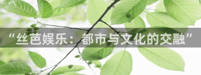 星亿娱乐集团总部：“丝芭娱乐：都市与文化的交融”