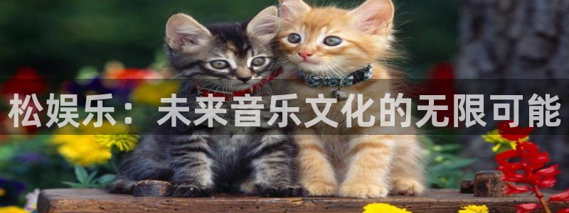 星亿娱乐app新版上线体验.游戏更新入口.中国：松娱乐：未来音乐文化的无限可能