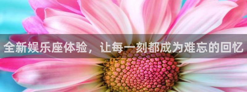 星亿娱乐官网下载：全新娱乐座体验，让每一刻都成为难忘的回忆
