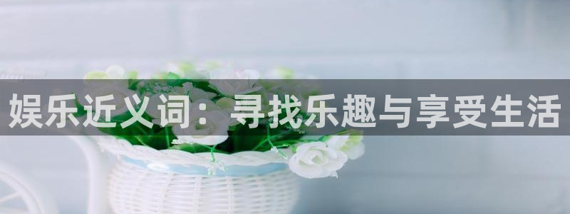 星亿娱乐网站登录流程：娱乐近义词：寻找乐趣与享受生活