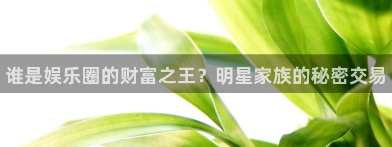 星亿娱乐手机客户端下载安装：谁是娱乐圈的财富之王？明星家族的秘密交易