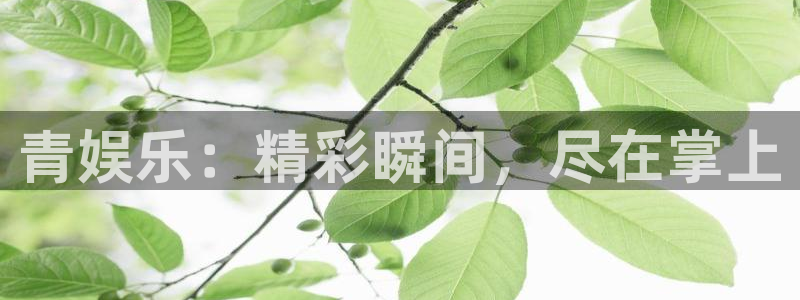星亿娱乐加拿大