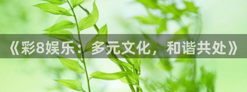 星亿娱乐注册链接入口：《彩8娱乐：多元文化，和谐共处》