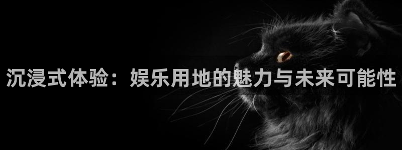 星亿娱乐加拿大在线预测：沉浸式体验：娱乐用地的魅力与未来可能性