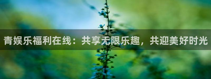 星亿娱乐的平台