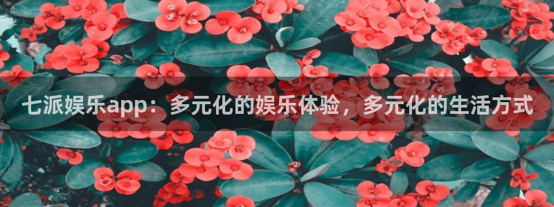 星亿娱乐下载地址