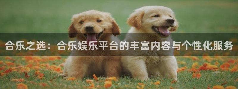 星亿娱乐2平台登录：合乐之选：合乐娱乐平台的丰富内容与个性化服务