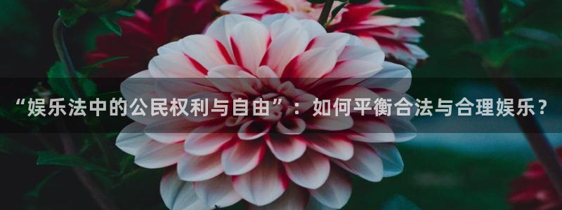 星亿娱乐.ccm官网版：“娱乐法中的公民权利与自由”：如何平衡合法与合理娱乐？