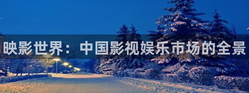 星亿娱乐加拿大：映影世界：中国影视娱乐市场的全景