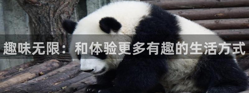 星亿娱乐平台官网版最新：趣味无限：和体验更多有趣的生活方式