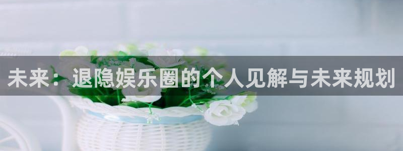 星亿娱乐注册官网入口：未来：退隐娱乐圈的个人见解与未来规划